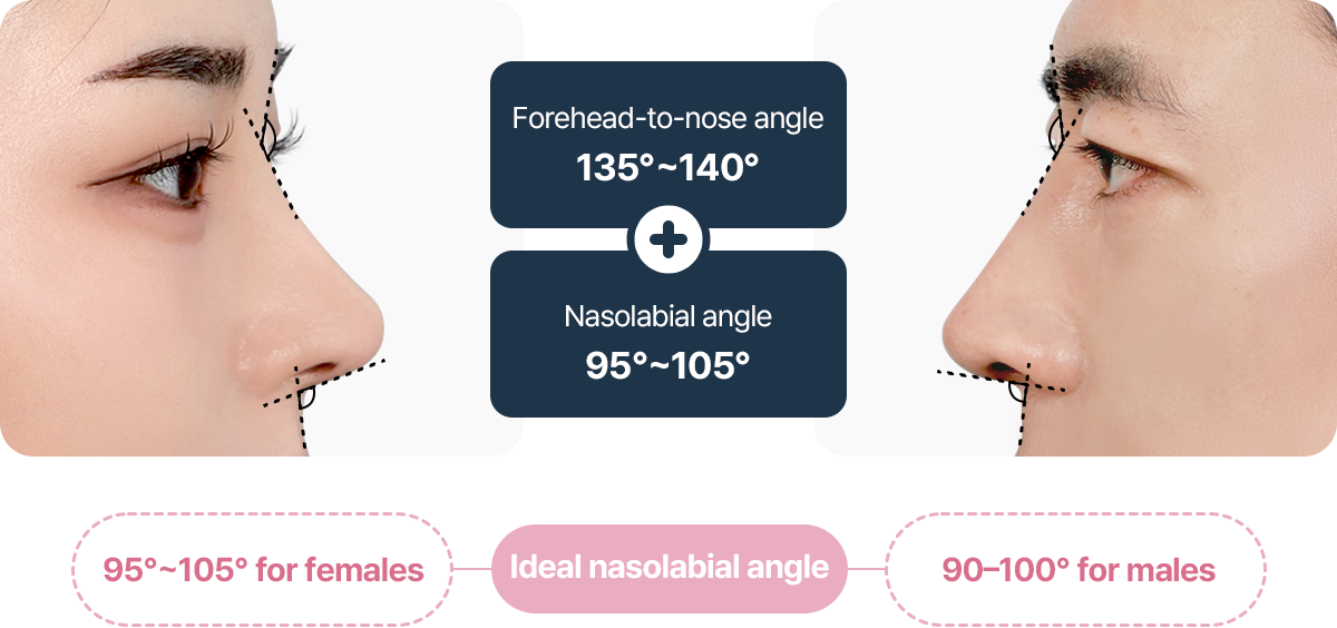 이상적인 비순각 여성 95도 105도 남성 90도 100도 이마와 코각도 135도 140도 비순각 95도 105도